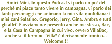 Amici Miei, In questo Podcast vi parlo un po' del perché mi piace tanto vivere in campagna, vi parlo dei tanti personaggi che animano la mia vita quotidiana: i miei cani Salatino, Gregorio, Jerry, Gina, Ambra e tutti gli altri! E ovviamente presento anche me stesso, Bac, e la Casa In Campagna in cui vivo, ovvero VillaBac, anche se il termine "Villa" è decisamente ironico... Welcome!!! 